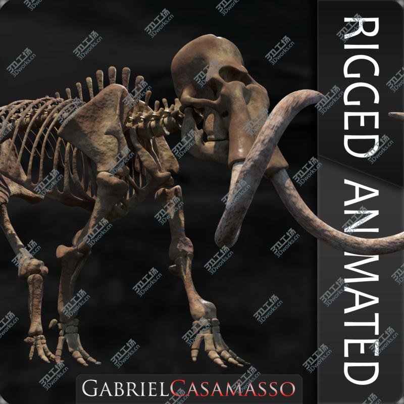 images/goods_img/20210319/3D Mammuthus primigenius Anatomy Pack model/3.jpg